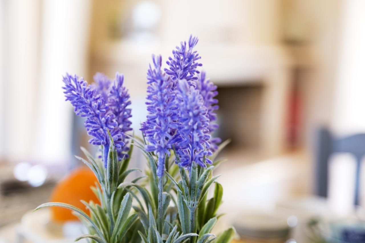 Pearl Kokkonaki Apartment Kokkonion ภายนอก รูปภาพ